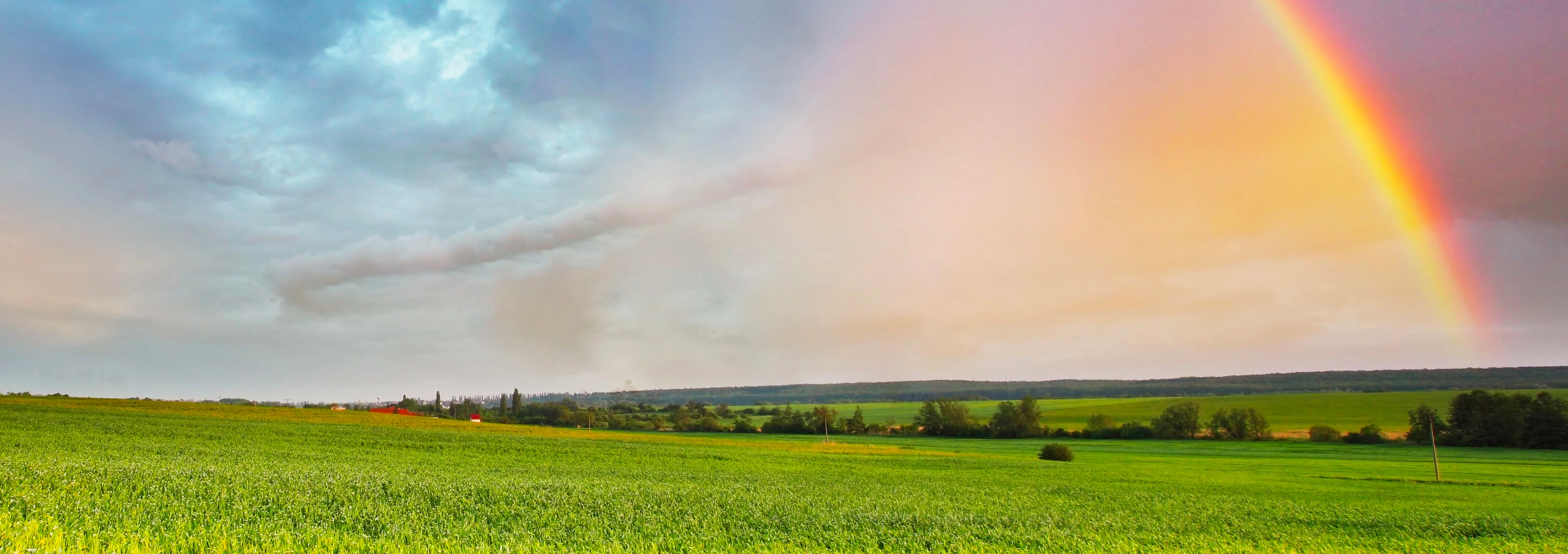 blog_header blog_header