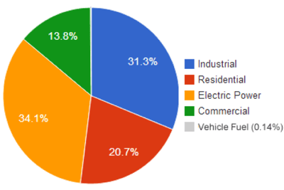 Natural Gas Pie Chart