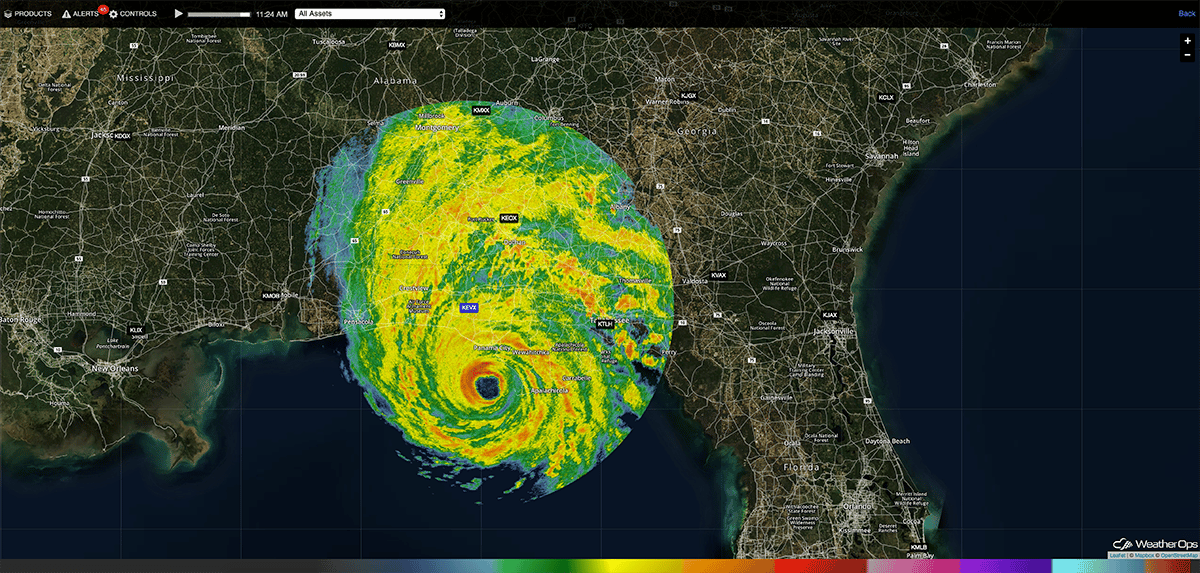 Screen Shot 2018-10-10 at 11.25.46 AM
