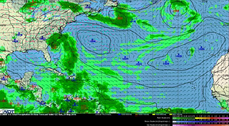 ECMWF model 8am EDT Sunday