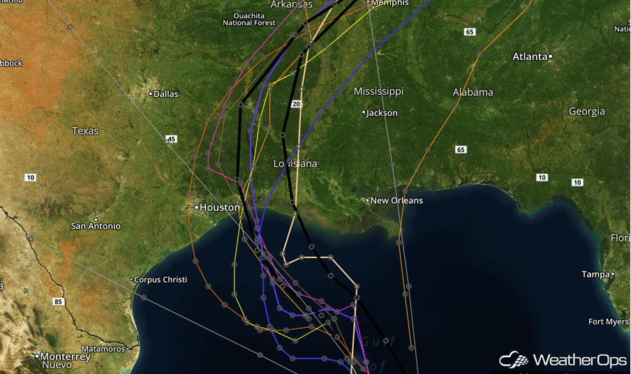 Forecast Model Tracks for TS Cindy, June 20, 2017