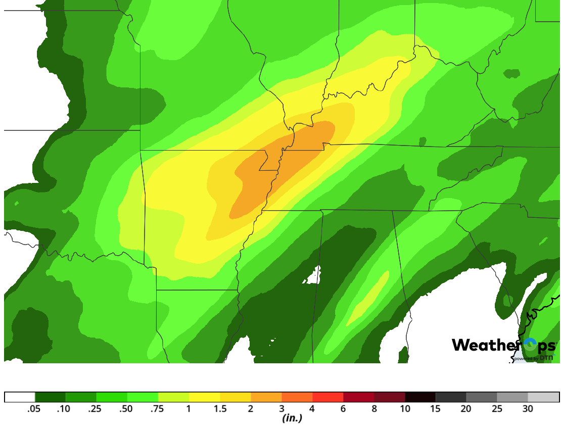 Rainfall Accumulation for Monday, February 11, 2019