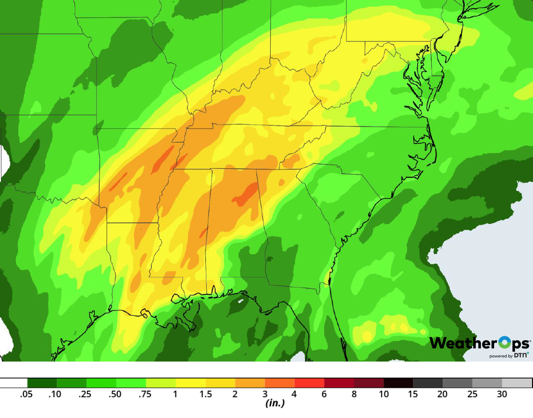 Rainfall Accumulation for February 19-20, 2019