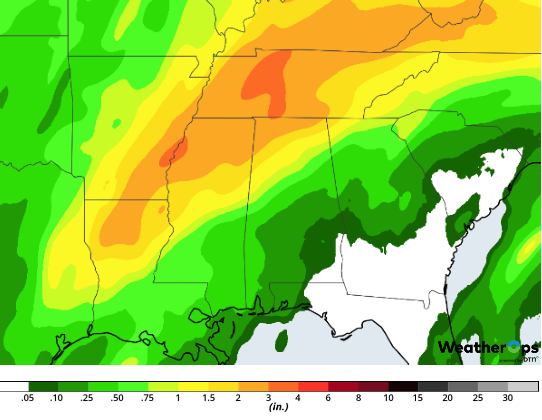 Rainfall Accumulation for Friday, February 22, 2019