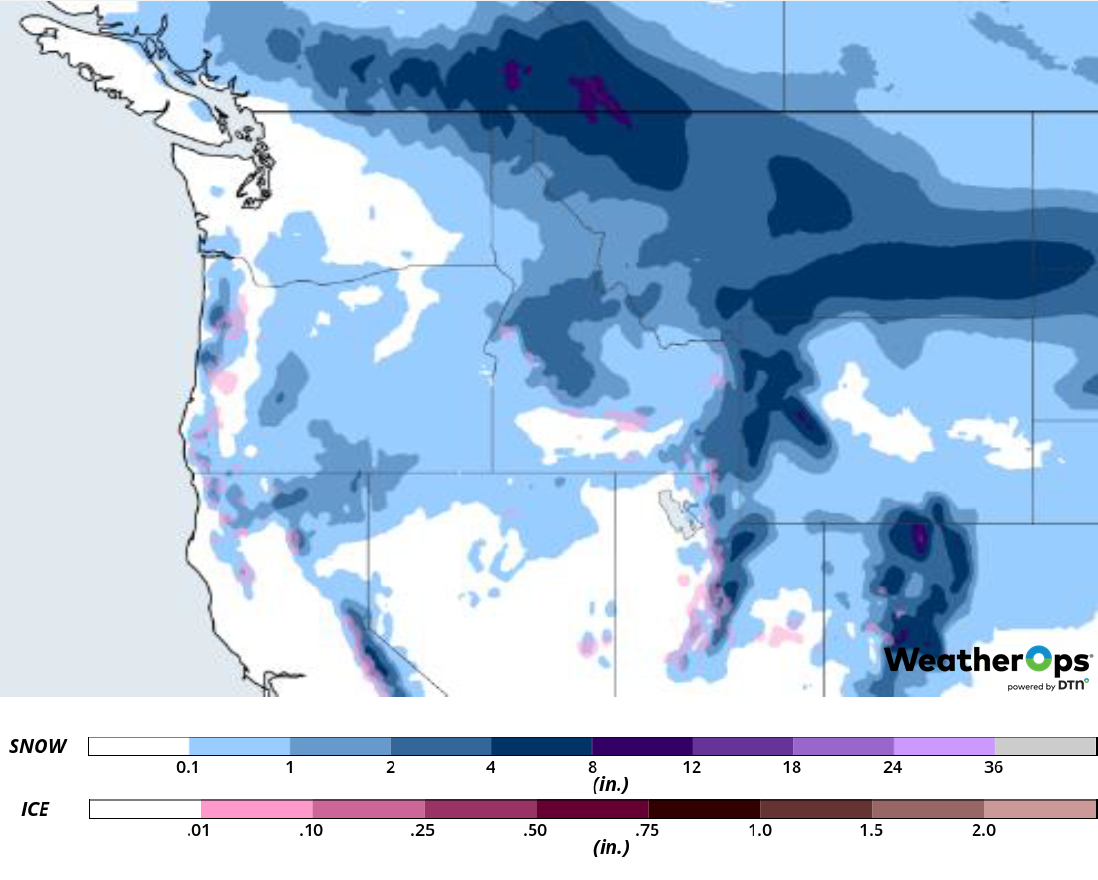 Snowfall Accumulation for February 28-March 1, 2019