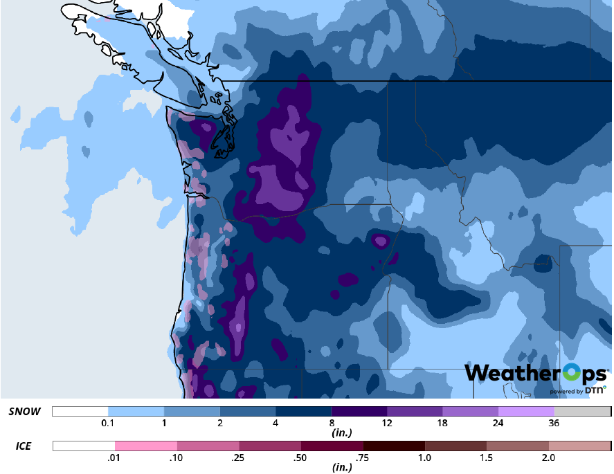Snow Accumulation for February 8-9, 2019