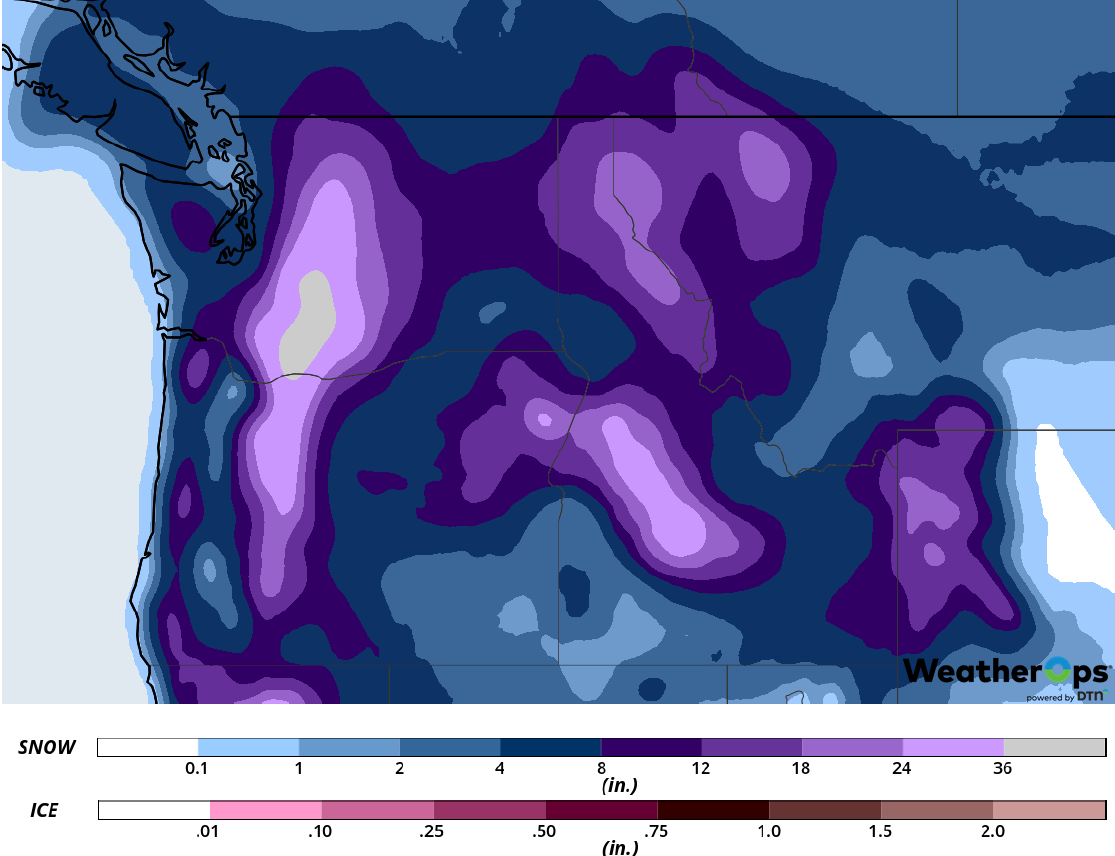 Snow Accumulation February 11-13, 2019