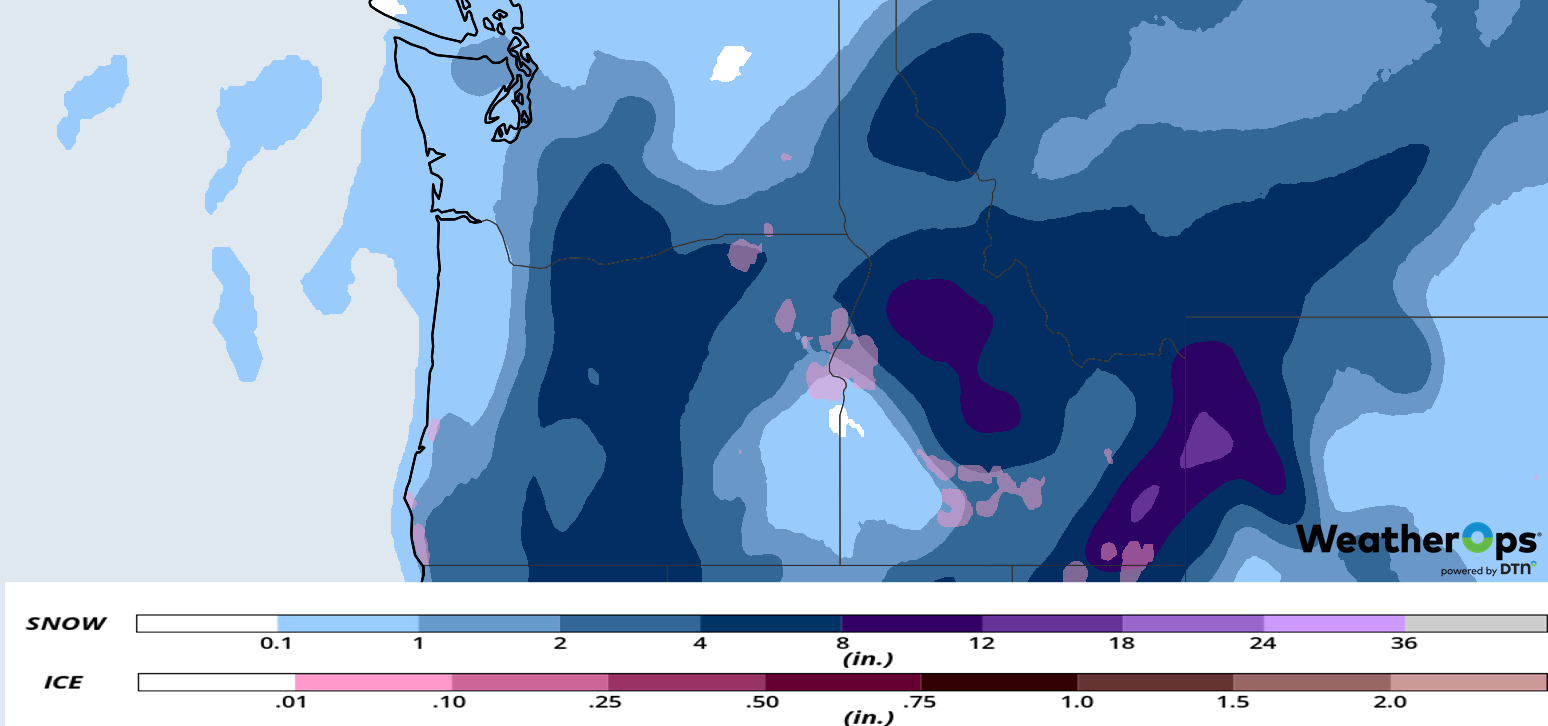 Snow Accumulation February 4-5, 2019