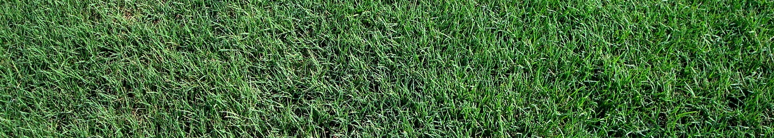 Weather dictates when to overseed, not convenience